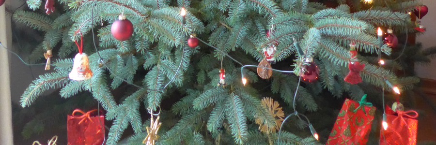 Waldhubenhof Weihnachtsbäume